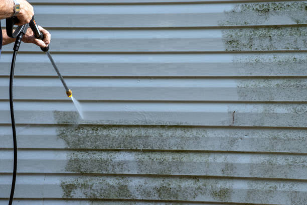 Best Storm Damage Siding Repair  in Bozeman, MT