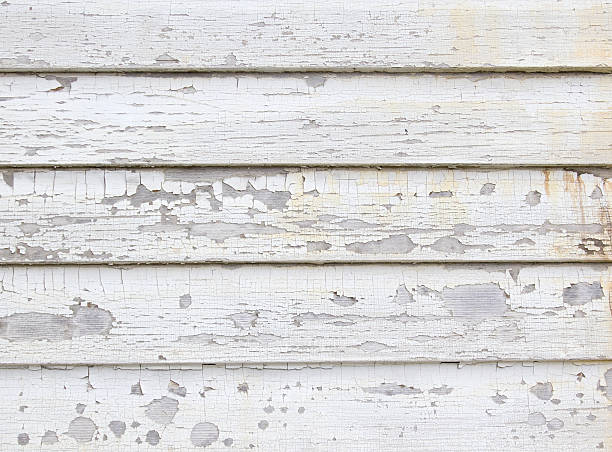Best Siding Maintenance  in Bozeman, MT
